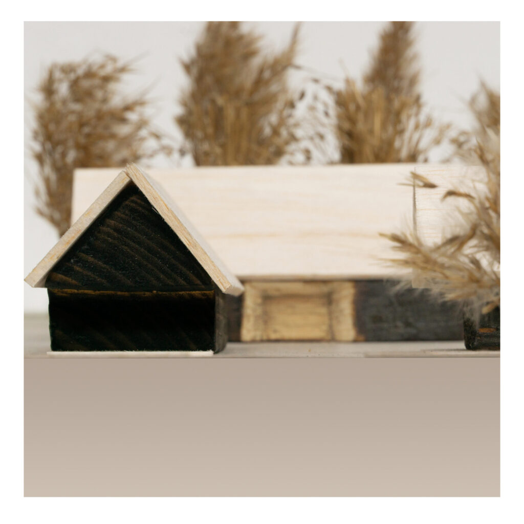 Farmosi Madárvárta