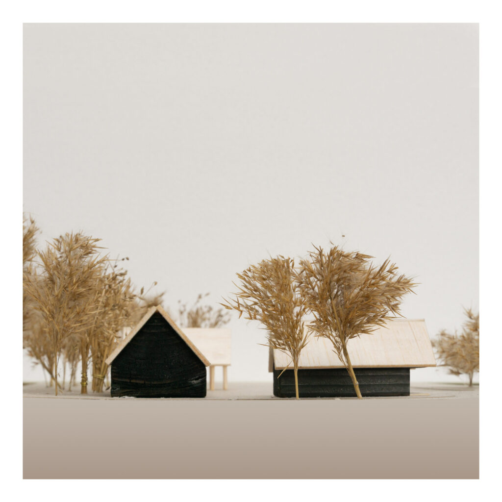 Farmosi Madárvárta