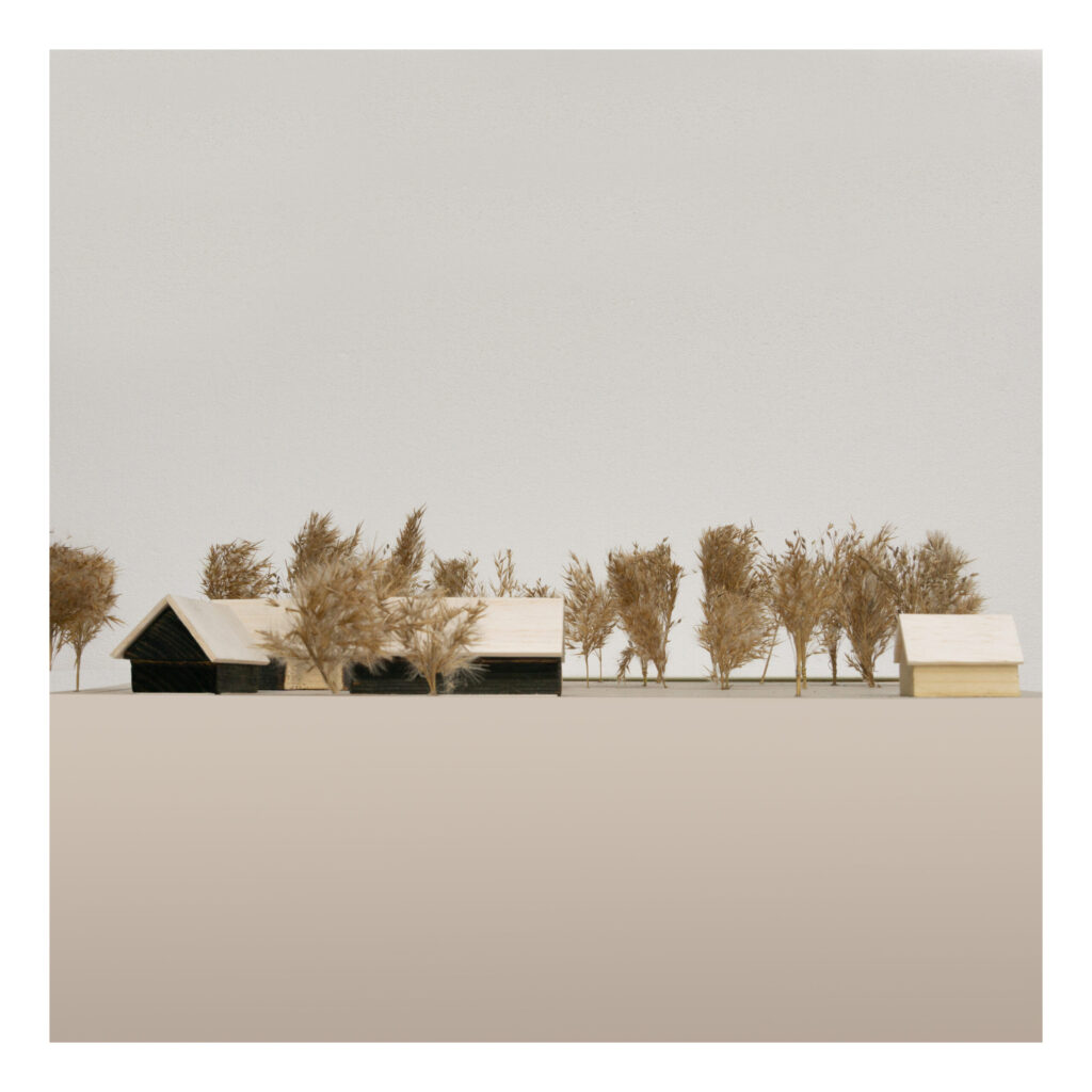 Farmosi Madárvárta