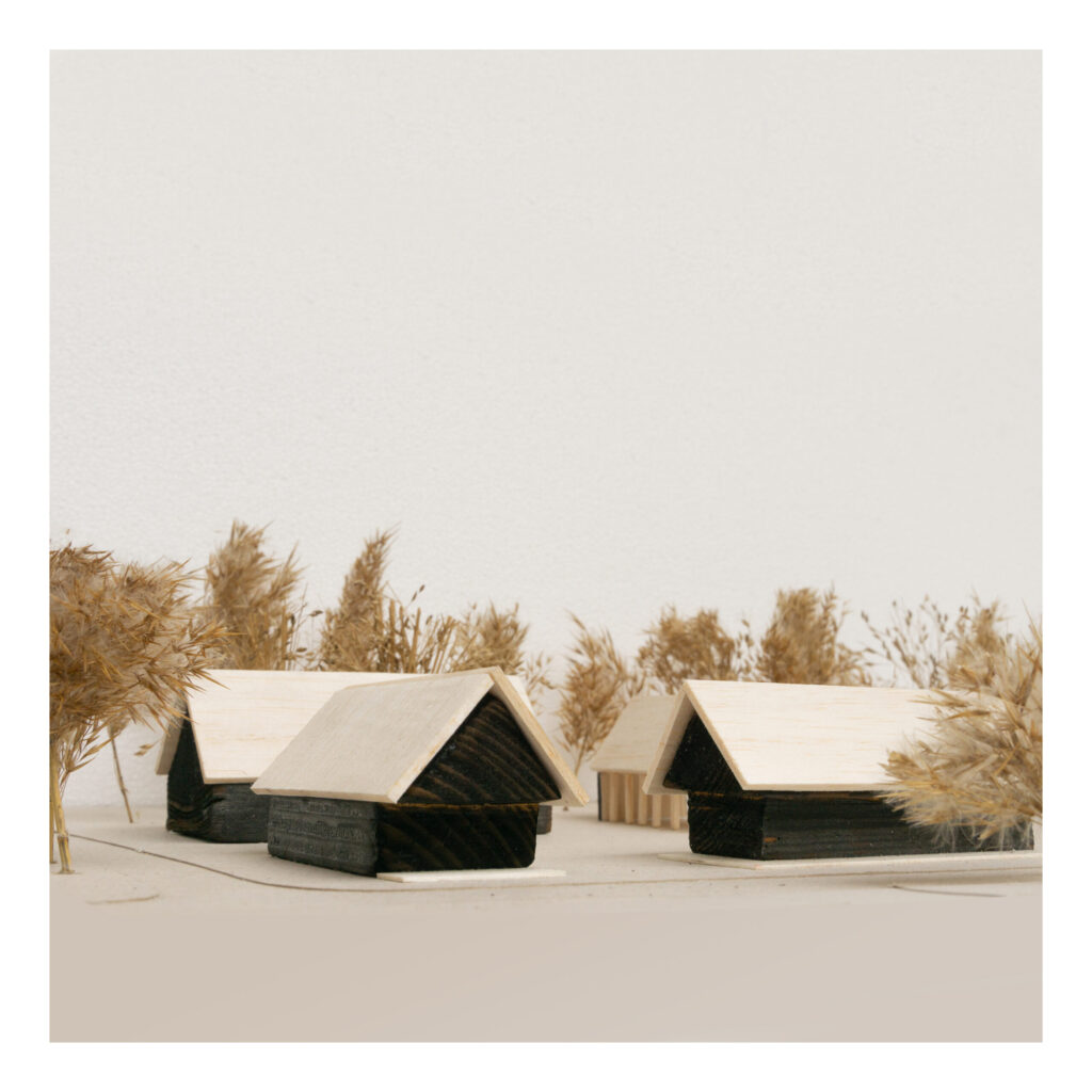 Farmosi Madárvárta